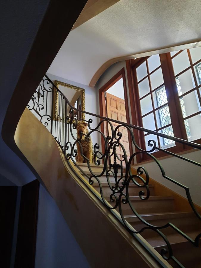 Le Clos Des Soyeux Saint-Victor-sur-Rhins Екстер'єр фото